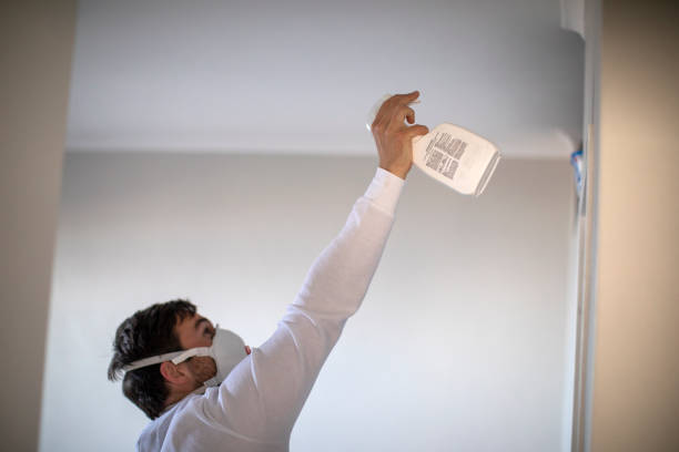  Oak Bluffs, MA Mold Removal Pros